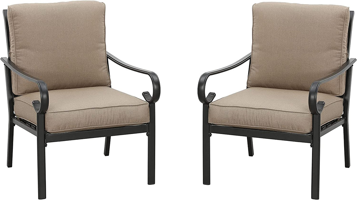 2 Piece Bistro Outdoor Dining Chairs 